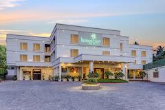 Hotel Lemon Tree