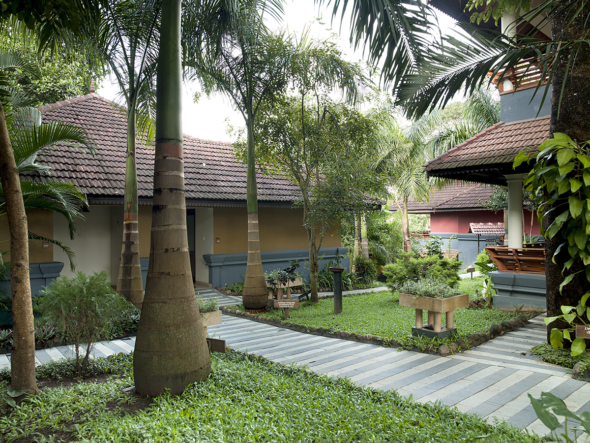 Elephant Court