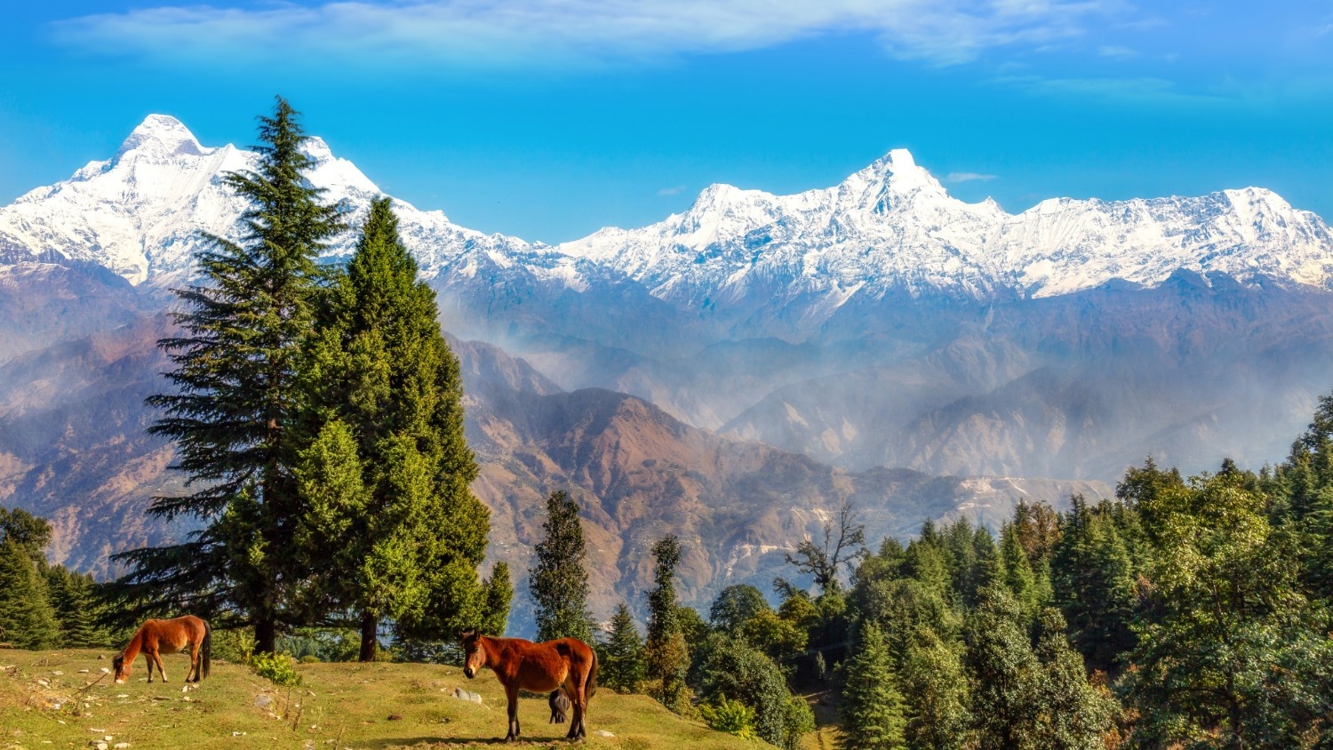 Uttarakhand Tour Package 5 Night 6 Days