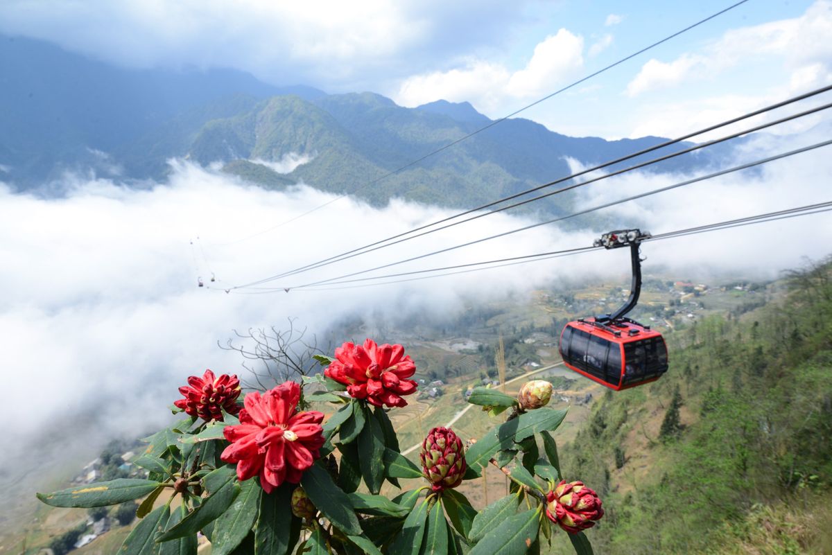 Sapa