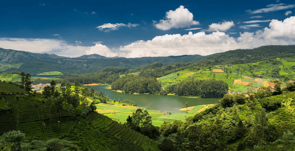 Honeymoon In South India